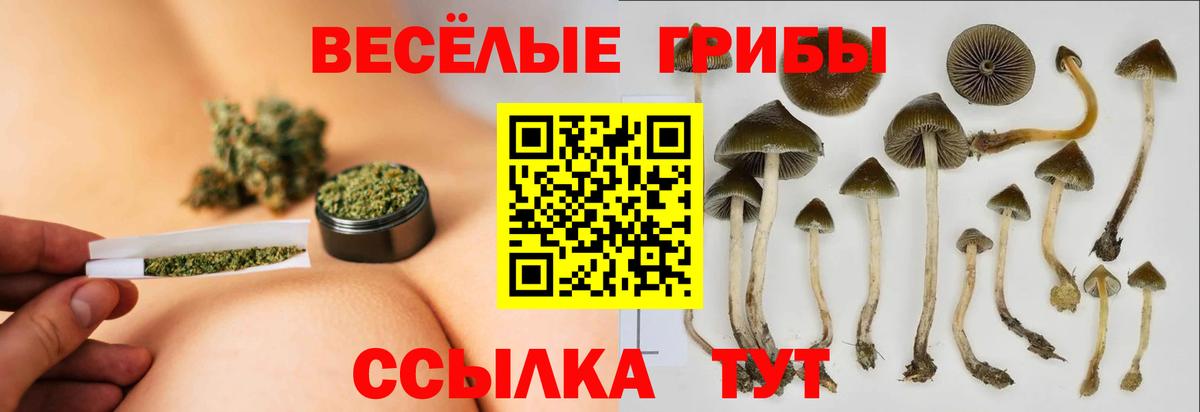 Псилоцибиновые грибы Psilocybine cubensis  Вход с VPN  Галлюциногенные грибы мухоморы  Калач-на-Дону 